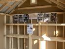 10x16 Cape Cod Storage Shed with shelves built inside from Pine Creek Structures